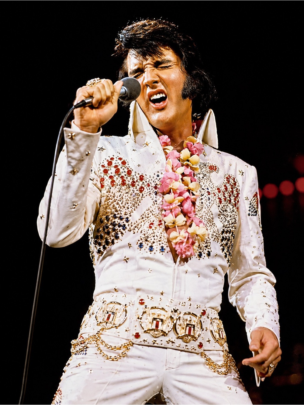 Elvis Presley Hawaii Concert Prints | Rare Vintage Rock Star Wall Art Set